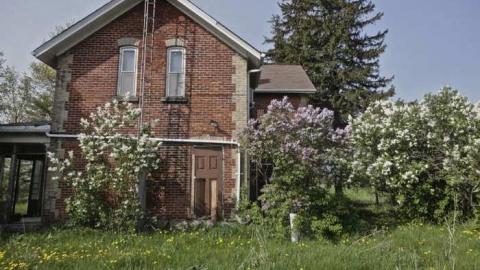 Primate Centre - North-Oakville-farm155.jpg