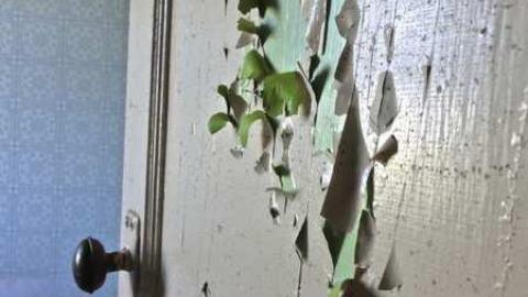 Primate Centre - North-Oakville-farm158.jpg