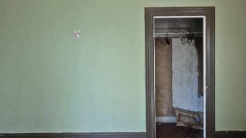 Photo from Primate Centre