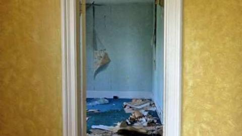 Photo from Primate Centre