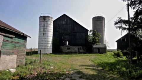 Primate Centre - North-Oakville-farm169.jpg