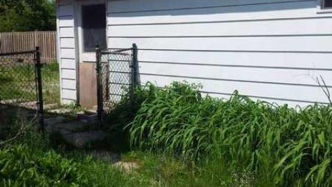 New  - 3360-New2.jpg