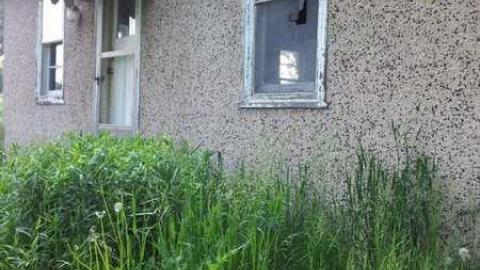 Visit - 20130530_153229.jpg