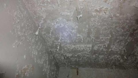 Crappy Pictures! - DSC04237.jpg