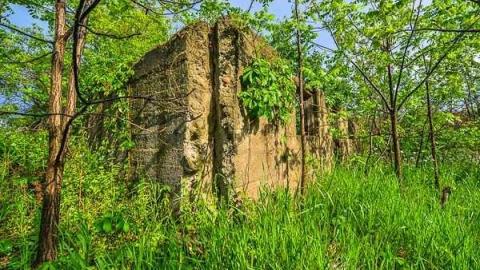 Non Chalaunt photo 3