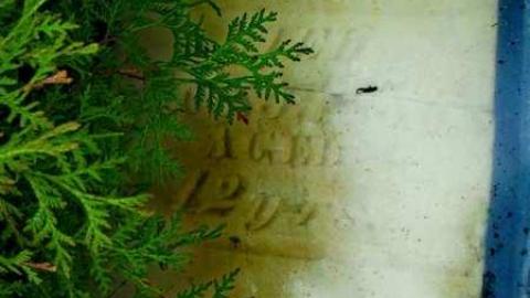 African Pioneers - African-Pioneer-Cemetery25.jpg