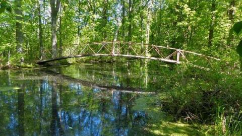 Hungarian Hideaway - 4.jpg