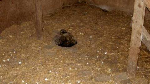 Runways Getting Closer - Runway-Rundown55.jpg