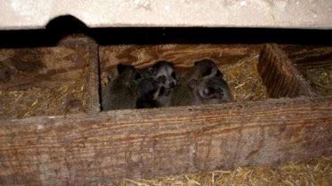 Runways Getting Closer - Runway-Rundown27.jpg