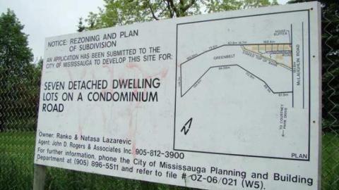 Not a Speck of Decay - 1.jpg