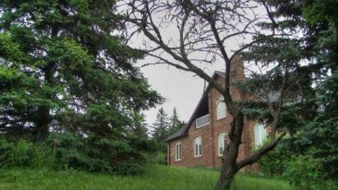 Not a Speck of Decay - 2a.jpg