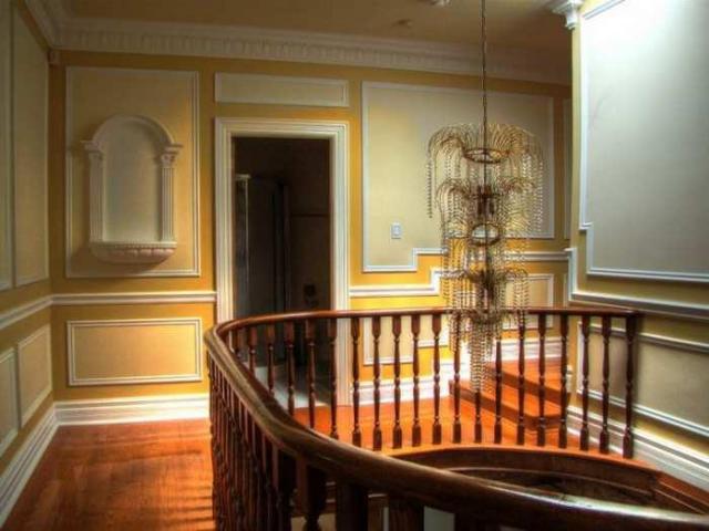 Pristine Paradise photo 4