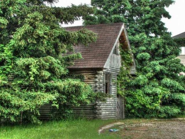 Pristine Paradise photo 3