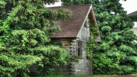 Not a Speck of Decay - 9.jpg