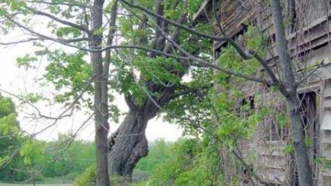 May 28, 2013 - barn.jpg