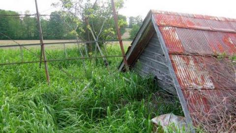 May 28, 2013 - chicken coop.jpg