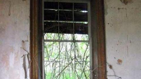 May 28, 2013 - inside 14.jpg