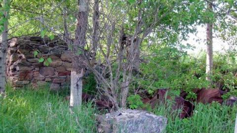 May 28, 2013 - old foundation.jpg