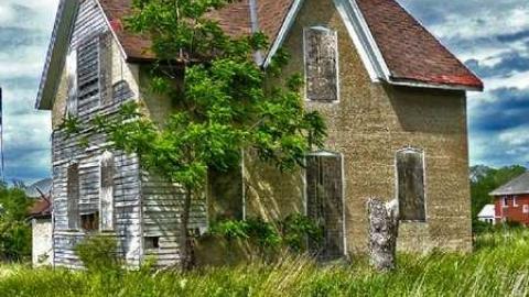 Standing Tall photo 2