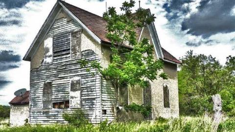 Standing Tall photo 3