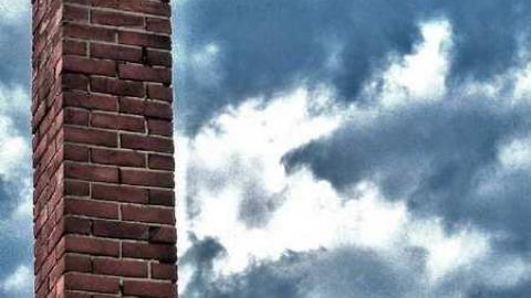 Standing Tall photo 4