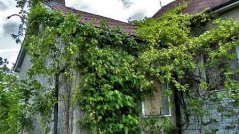 Standing Tall photo 5