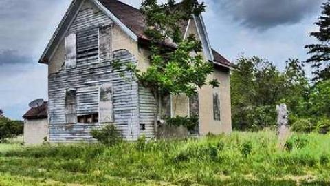 Standing Tall - Lincoln, Ontario