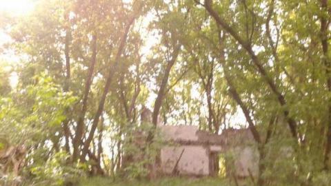 June 1, 2013 - 2013-06-01 19.20.03.jpg