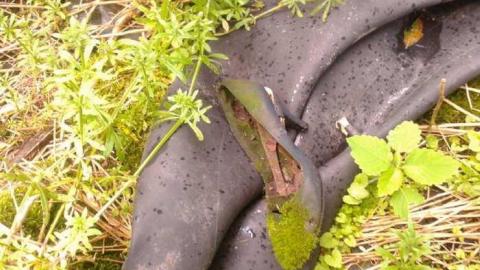 June 1, 2013 - 2013-06-01 19.24.53.jpg