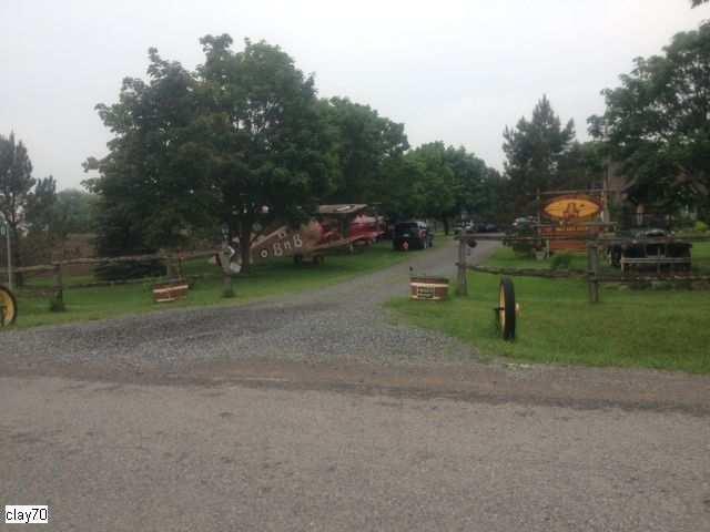 Strawberry Fields Forever photo 4