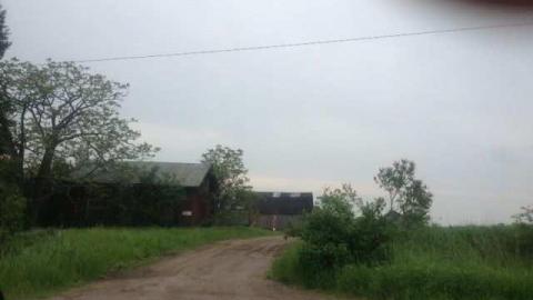 Strawberry Fields Forever photo 5