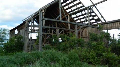 ScottF - Old-and-Good19.jpg