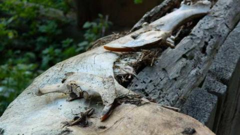 ScottF - Old-and-Good20.jpg