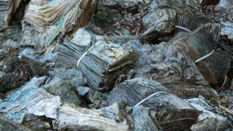 ScottF - Old-and-Good27.jpg