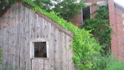 Chatsworth Farmstead - Chatsworth77.jpg