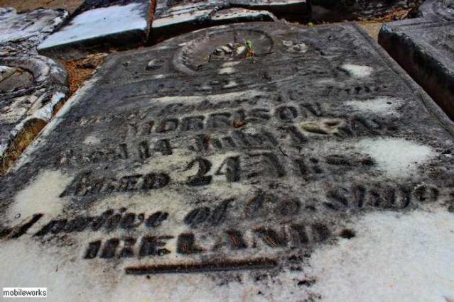 Church Of The Good Shepherd photo 4