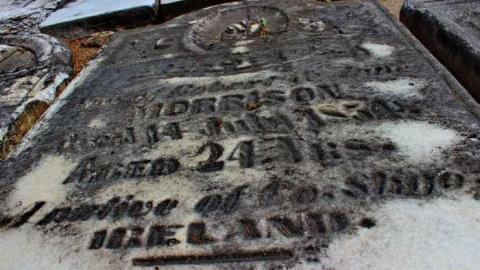 Church Of The Good Shepherd photo 4