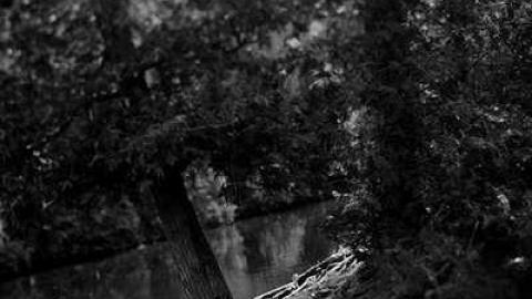 Woolly Wilderness - Harris-Woolen-Mill--Rockwood31.jpg