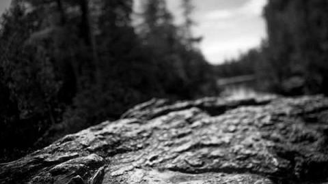 Woolly Wilderness - Harris-Woolen-Mill--Rockwood32.jpg