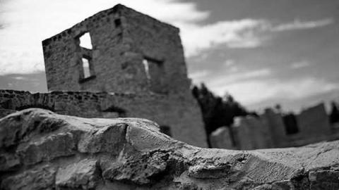 Photo from Woolly Wilderness