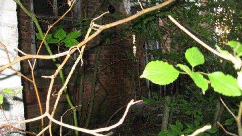 Chatsworth Farmstead - Chatsworth50.jpg