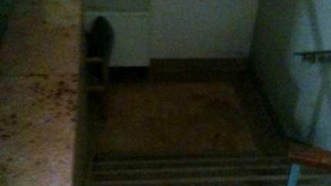 DA STANK - Stanky-Courthouse20.jpg