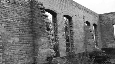 Brisk Brick - Brick-Skeleton4.jpg