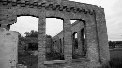 Brisk Brick - Brick-Skeleton11.jpg