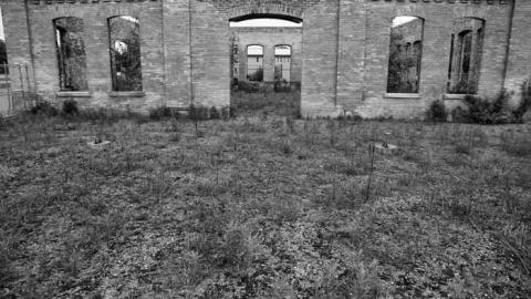 Brisk Brick - Brick-Skeleton16.jpg