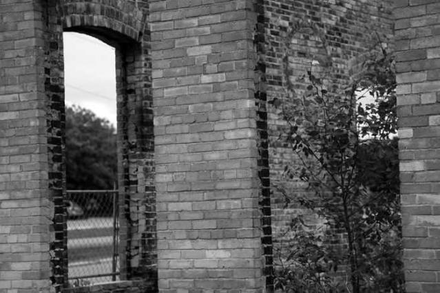 Brick Skeleton photo 2