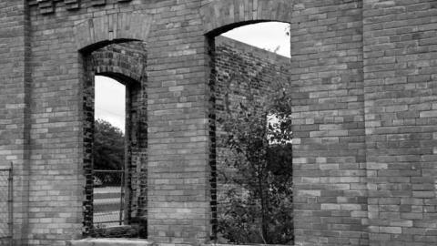 Brick Skeleton photo 3