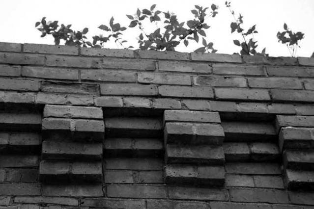 Brick Skeleton photo 4