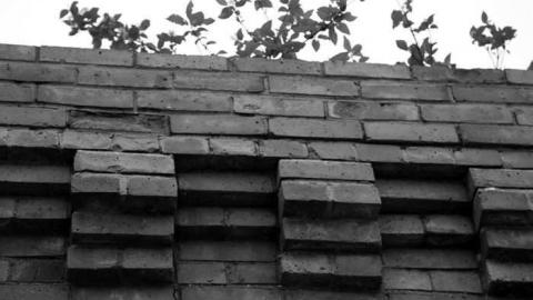 Brick Skeleton photo 4