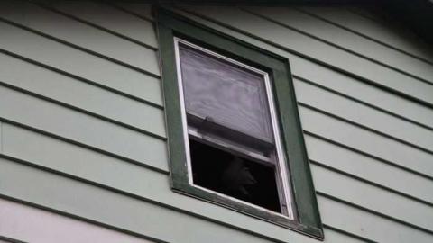 Whitby Special - IMG_2448.jpg